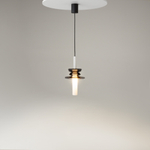 Подвесной светильник Maytoni MOD255PL-01B1