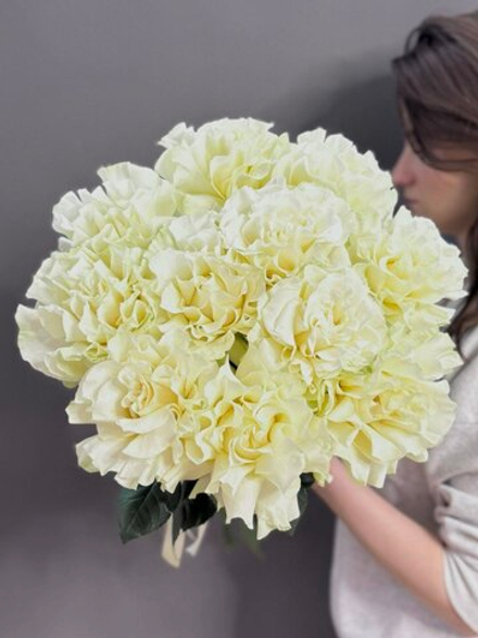 Букет из 11 белых французских рох под ленту