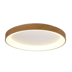 8587 Потолочный светильник NISEKO II