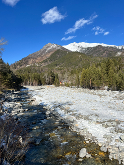 Фотобумага матовая Premium