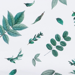 Бумага упаковочная глянцевая «Листочки», 70 х 100 см