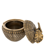 Шкатулка Box Custard Apple арт.113369