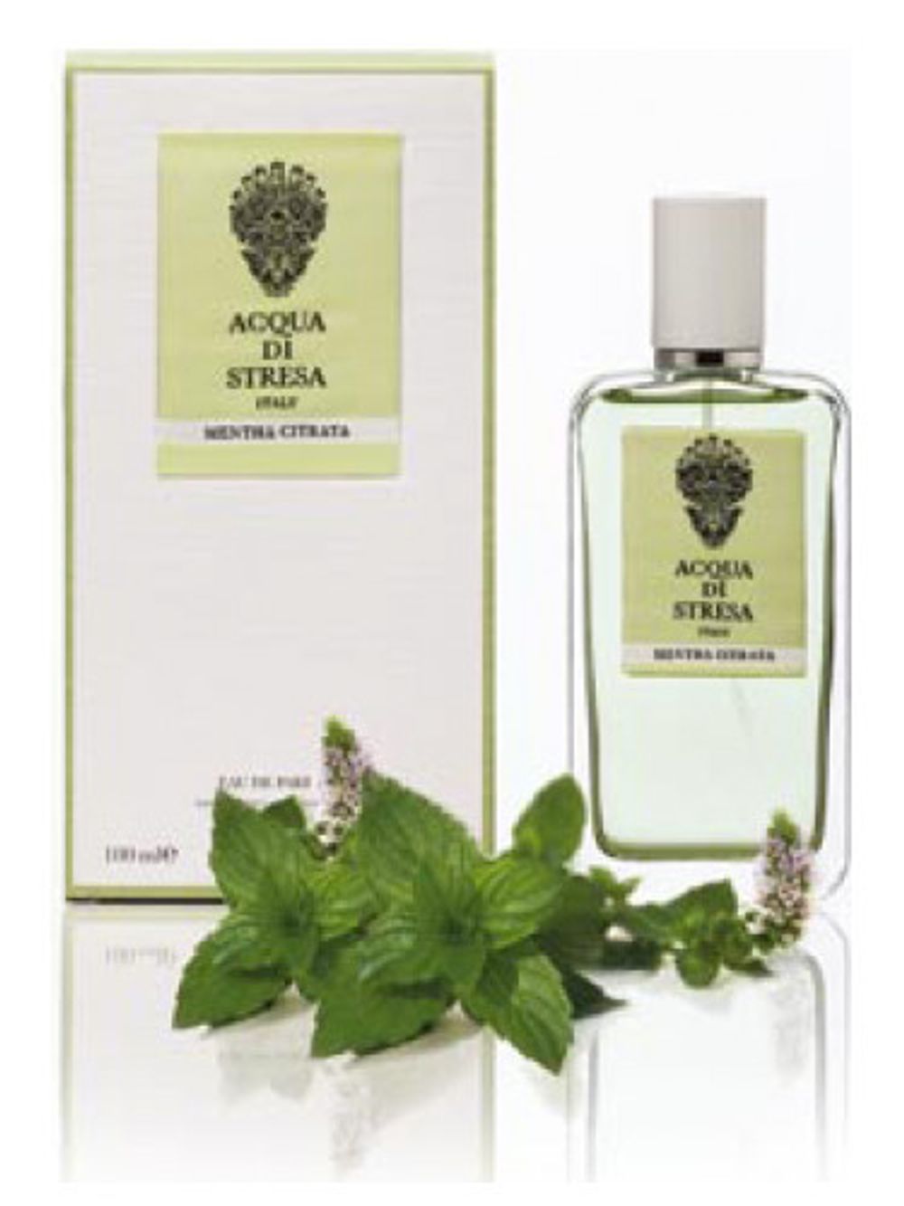 Acqua di Stresa Mentha Citrata