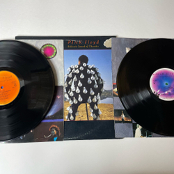 Винтажная виниловая пластинка LP Pink Floyd Delicate Sound Of Thunder (USA 1988)