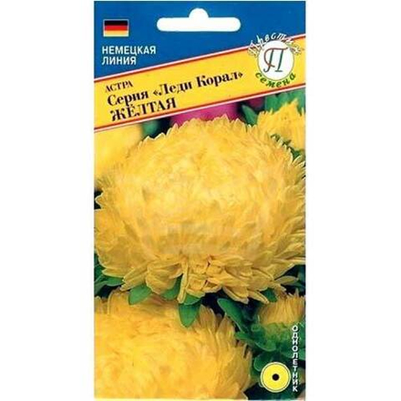 Астра Леди Корал Желтая кит. Престиж