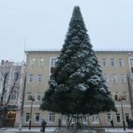 Уличная елка ствольная "Альпийская" (пвх) 5 м