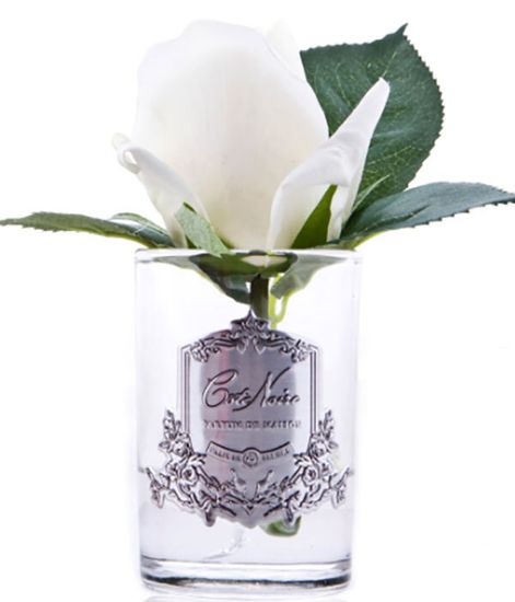 Ароматизированная роза слоновая кость в прозрачной вазе, Cote Noire