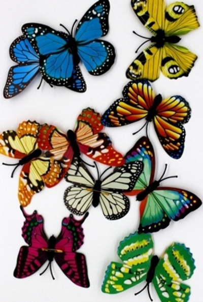 Набор бабочек на булавке, р. 8х10 см