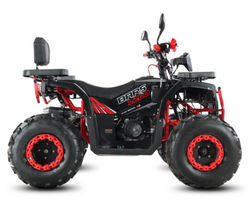 Квадроцикл WHITE SIBERIA BARS L200