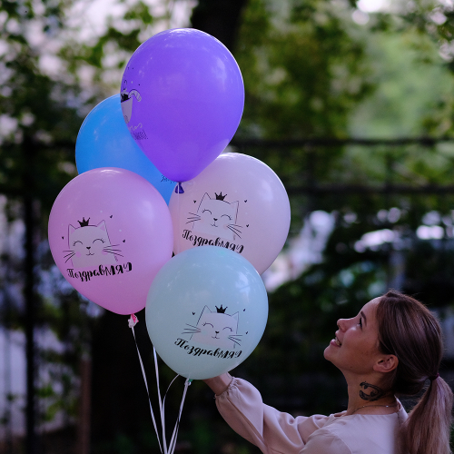 Купить Воздушные шары "С днем рождения" Кошка Мэри