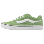 Мужские кеды Vans Caldrone 'Green White' VN000CSPEMZ