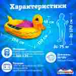 Электрическая бамперная лодка «Жёлтая уточка» на часовом механизме