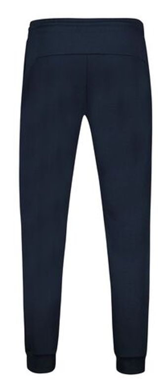 Мужские теннисные штаны Le Coq Sportif TRI Regular No.1 M - капитан неба