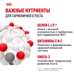ROYAL CANIN Mini Puppy Корм консервированный для щенков мелких пород в возрасте до 10 месяцев, кусочки в соусе, 85 г