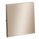 Клавиша для выключателя/переключателя одноклавишного, S70 Metal (платина)