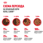 Royal Canin Ageing 12+ Эйджинг Корм влажный для взрослых кошек в возрасте старше 12 лет желе 85г