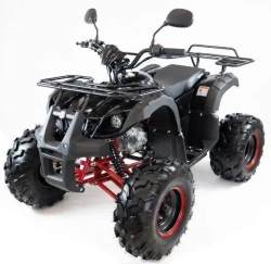 Квадроцикл MOTAX ATV Grizlik 7 110 cc