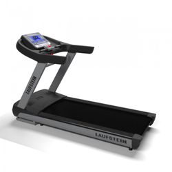 Беговая дорожка  Laufstein Commercial