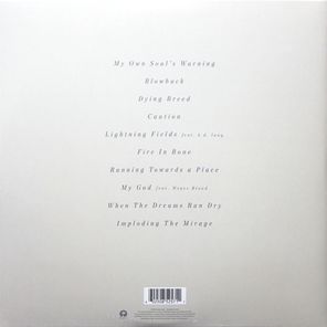 The Killers / Imploding The Mirage (LP)