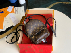Louis Vuitton Palm Springs Mini