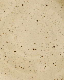 ZARA HOME КЕРАМИЧЕСКАЯ ДЕСЕРТНАЯ ТАРЕЛКА С УЗОРОМ В ГОРОШЕК, БЕЖЕВЫЙ