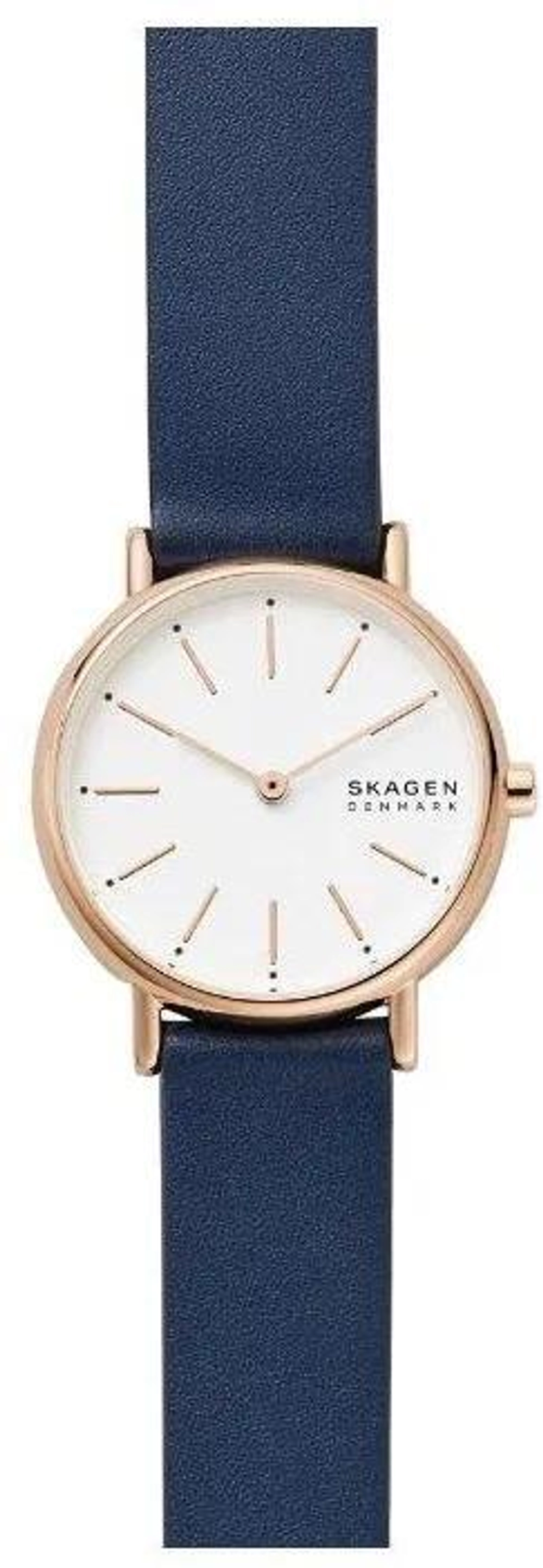 Женские наручные часы Skagen SKW2838