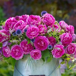 Фройлен Мария (Fraulein Maria)