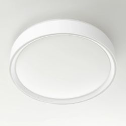 Citilux BOSS CL751250G LED RGB Светильник с пультом Белый