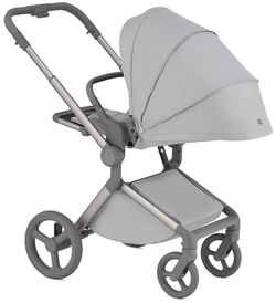 Детская коляска Anex Flo 2 в 1 Frossy