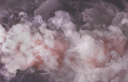 Коллекция EUPHORIA 19