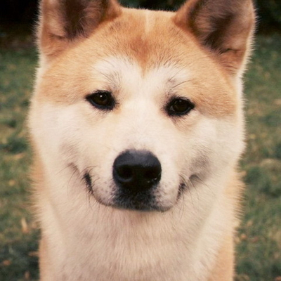 Kriyavaspata - Исцеление животных