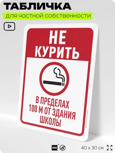 Табличка для частной территории "Не курить в пределах 100 м от здания школы", на дом, для участка, для подъезда, организаций и частных территорий, 40х30 см, Silver Plane x Айдентика Технолоджи