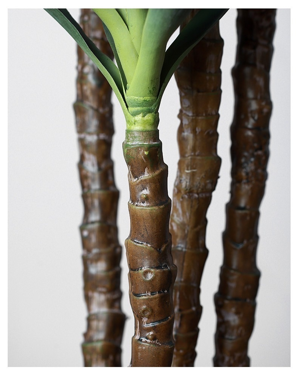 Юкка 3 ствола 170 см