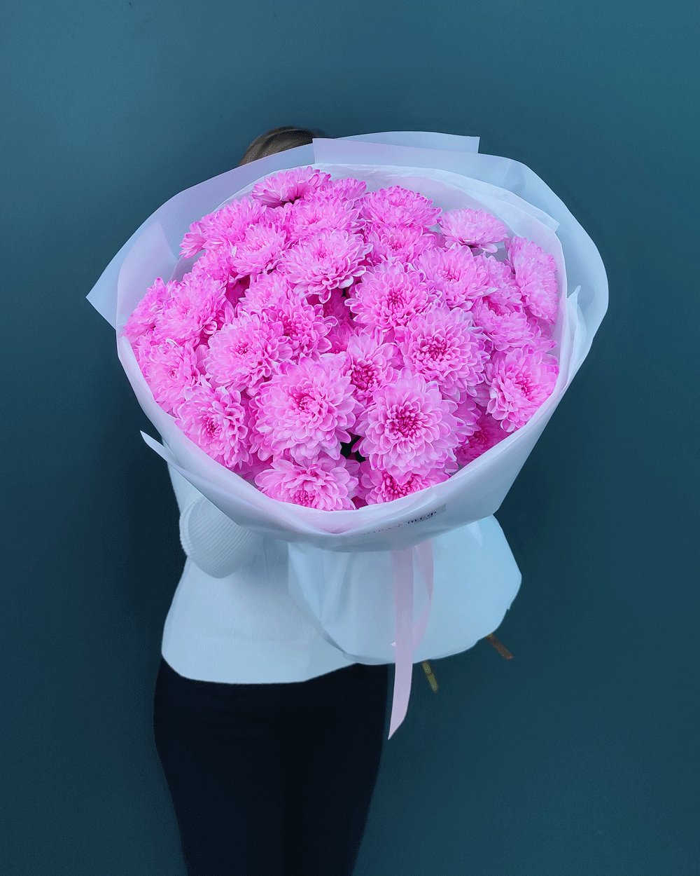 Хризантема кустовая розовая,9шт(00445)