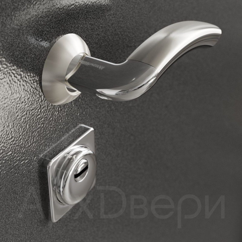 Входная дверь XL