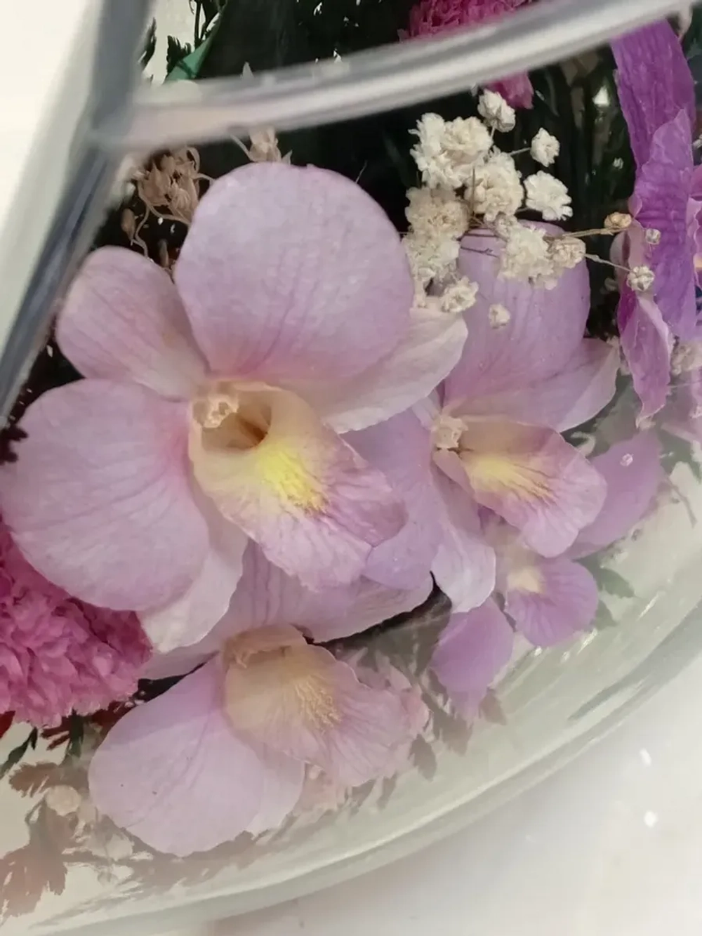 натуральные цветы в стекле, вакуум