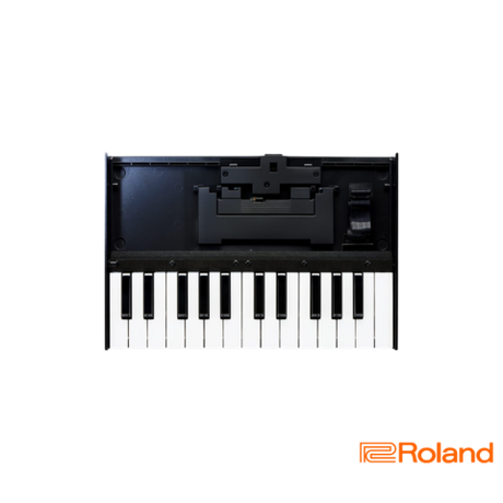Roland Boutique K-25m