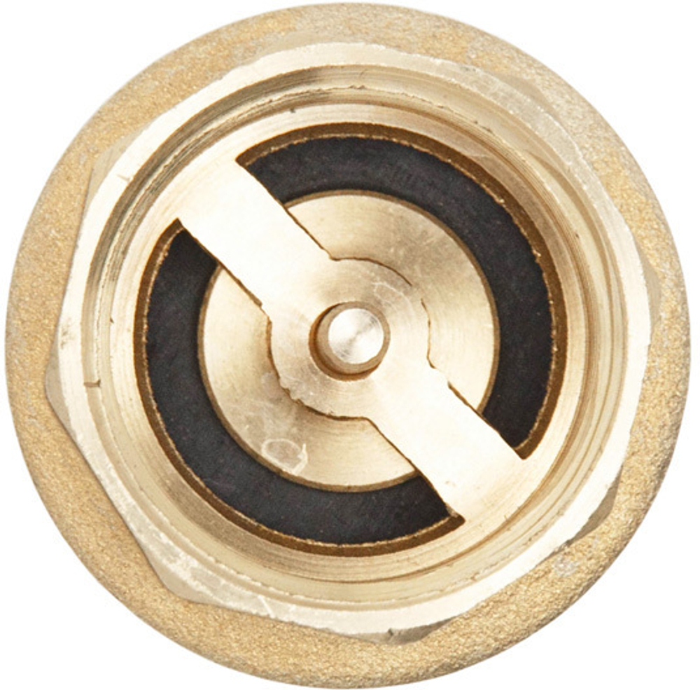 Клапан обратный с латунным сердечником 1"