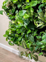 7.23. Фитостена из живых растений для клиники "Excellens". В проекте использовались фитомодули "Hydro Falls"