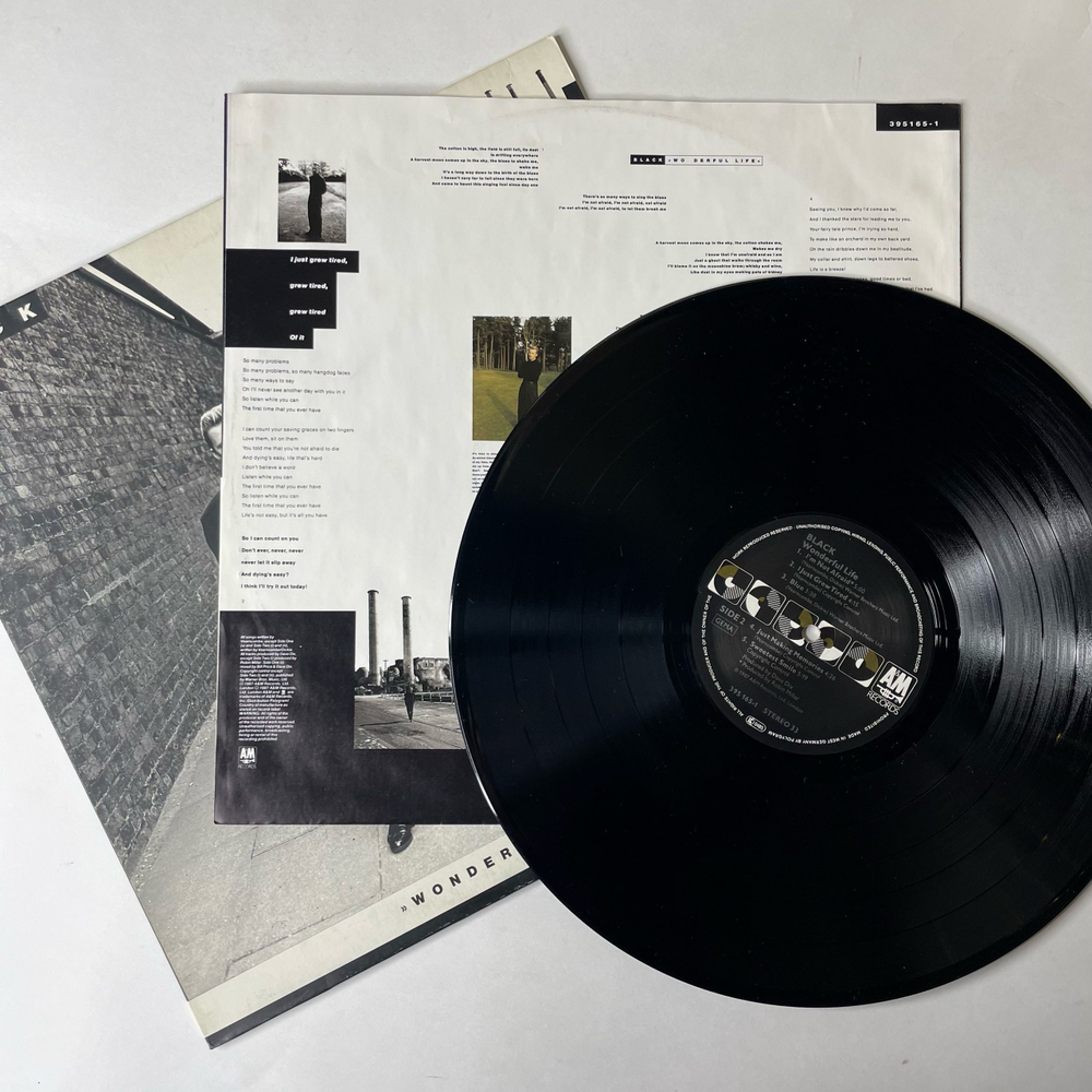 Винтажная виниловая пластинка LP Black Wonderful Life (Германия 1987)