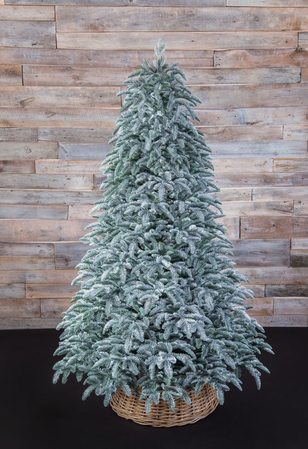 Ель Нормандия Пушистая 100% литая 215см заснеженная Triumph Tree