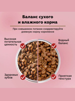 Влажный корм Secret Life Force (Секрет) 0,085кг курица в соусе пауч для кошек, В комплекте 24 упаковок
