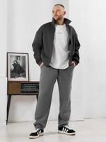 Брюки мужские Акс Виотекс СЕРЫЙ