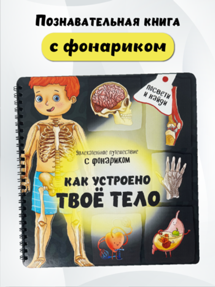 Книжка с фонариком "Как устроено твое тело"