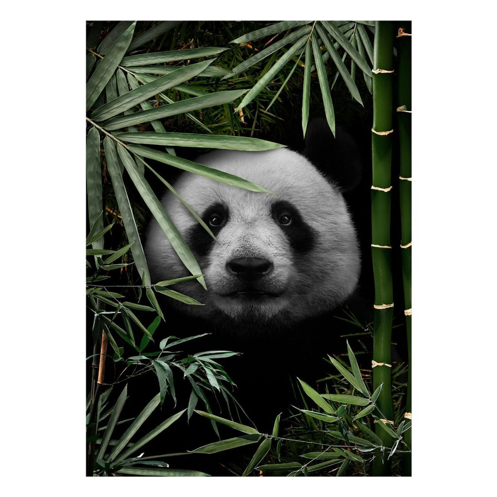 Картина 50х70 см, Холст, H-1214H