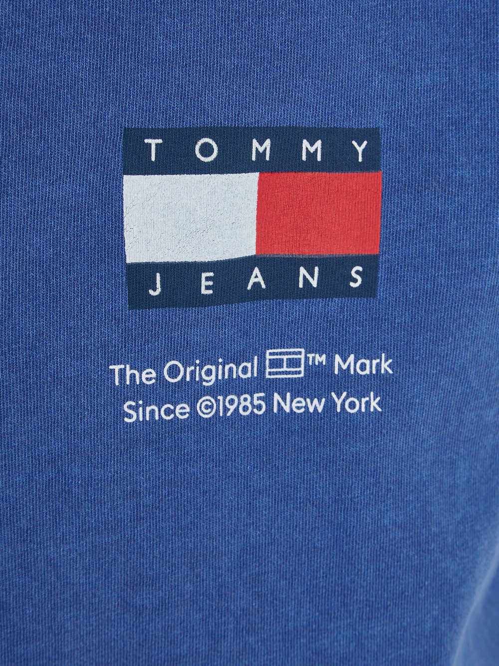 Футболка Tommy Jeans - голубой(DM0DM19686)