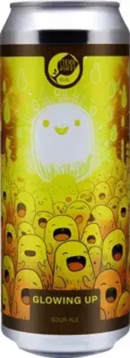 Пиво Штамм Бир Глоуин Ап / Stamm Beer Glowing Up 0.45 - банка