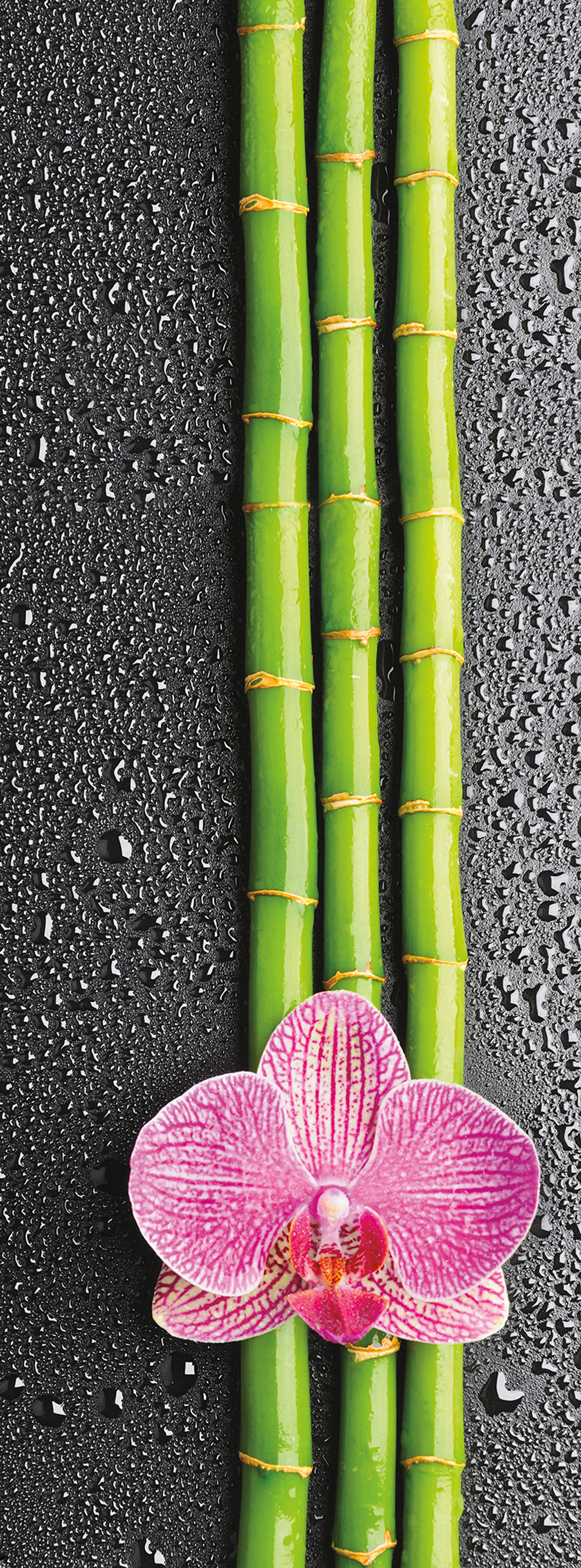 Коллекция Цветы