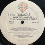 Paula Cole ‎– Where Have All The Cowboys Gone? (США 1997г.) 12", 45 RPM