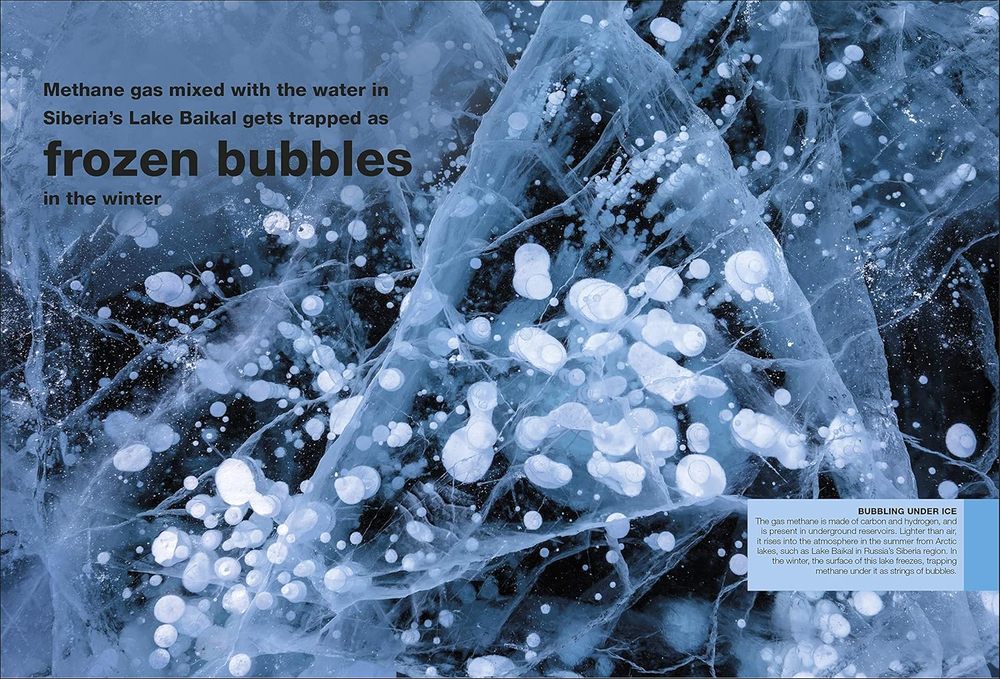 Periodic Table (Pocket Eyewitness)